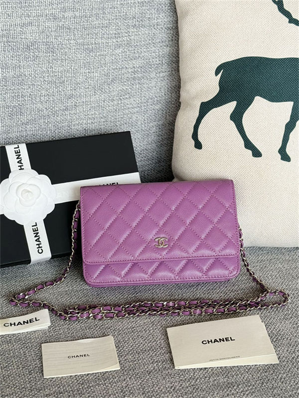 Classic Wallet on Chain AP0250 Grained Calfskin Purple Silver Metal B