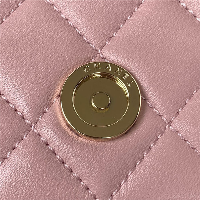 Chanel Duma Backpack 2908 Lambskin Gold-Tone Metal Pink A