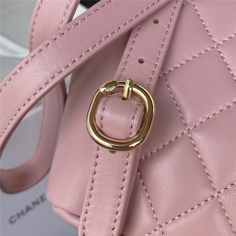 Chanel Duma Backpack 2908 Lambskin Gold-Tone Metal Pink A