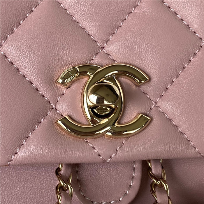 Chanel Duma Backpack 2908 Lambskin Gold-Tone Metal Pink A