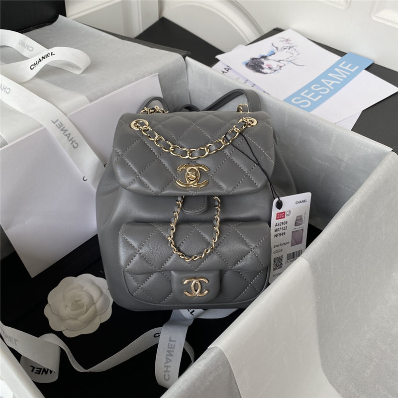 Chanel Duma Backpack 2908 Lambskin Gold-Tone Metal Grey A