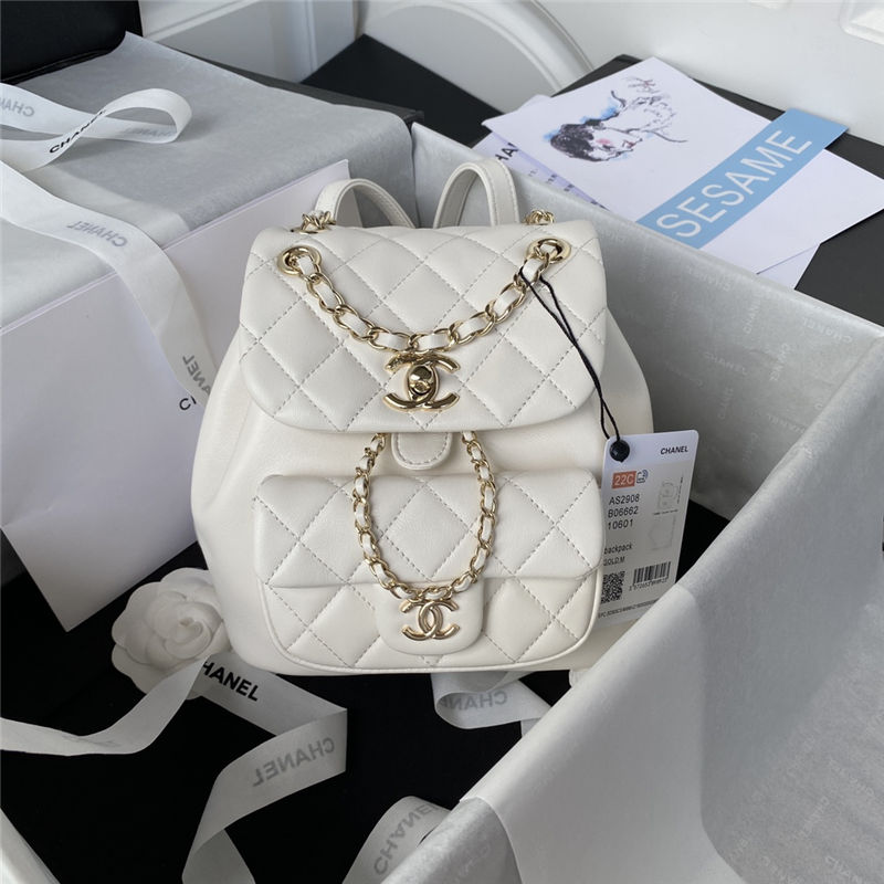 Chanel Duma Backpack 2908 Lambskin Gold-Tone Metal White A