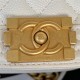 Chanel SMALL BOY Chanel MESSENGER BAG Grained Calfskin & Gold-Tone Metal AS3350 White A