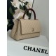 FLAP BAG WITH TOP HANDLE Grained Calfskin Beige Gold Metal High