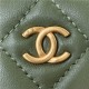 Chanel SMALL VANITY WITH CHAIN Lambskin & Gold-Tone Metal AP1447 Green A