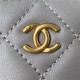 Chanel SMALL VANITY WITH CHAIN Lambskin & Gold-Tone Metal AP1447 Grey A