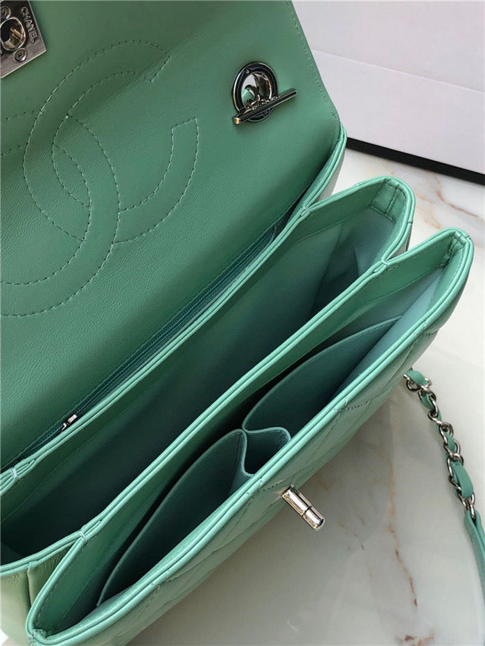 SMALL FLAP BAG WITH TOP HANDLE Lambskin Silver Metal Green A