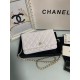 Classic Wallet on Chain AP0250 Lambskin White Gold Metal B