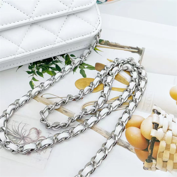 Classic Wallet on Chain AP0250 Lambskin White Silver Metal B