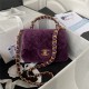 Chanel SMALL FLAP BAG Shearling & Gold-Tone Metal AS3498 Purple A