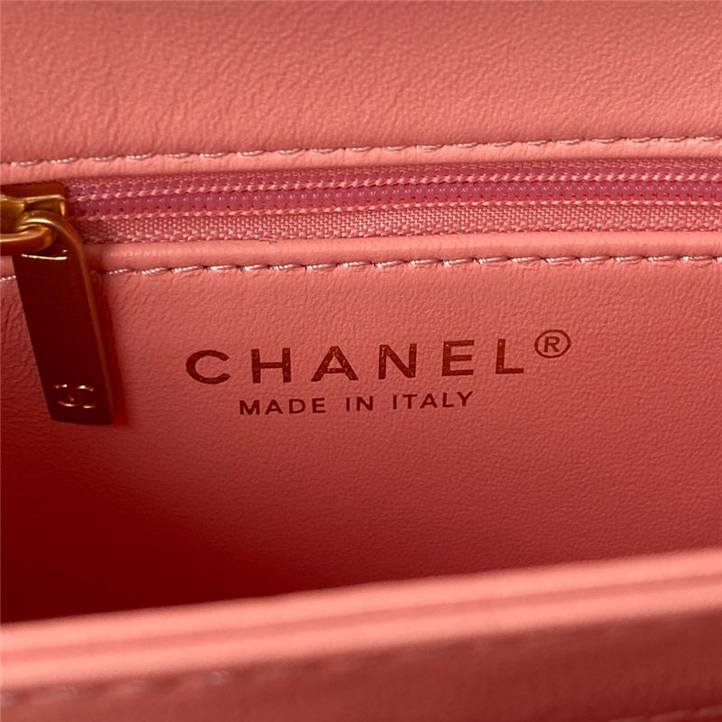 Chanel FLAP BAG Shearling & Gold-Tone Metal AS3499 Pink A