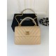 SMALL FLAP BAG WITH TOP HANDLE Chevrons Pattern Lambskin Aged Gold Metal Beige B