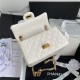 MINI 2.55 HANDBAG Aged Calfskin White & Gold-Tone Metal A