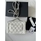 Classic Wallet on Chain AP0250 Grained Calfskin White Silver Metal A