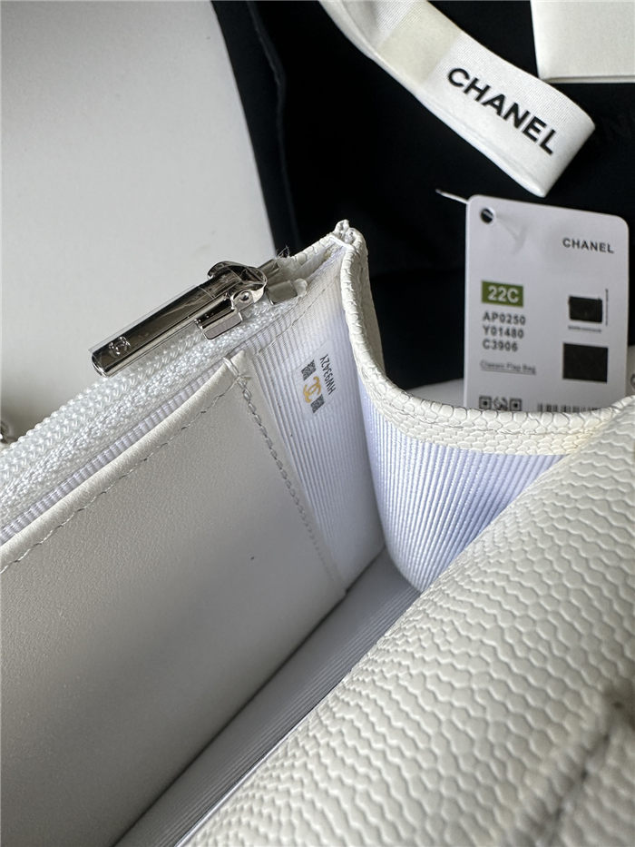 Classic Wallet on Chain AP0250 Grained Calfskin White Silver Metal B