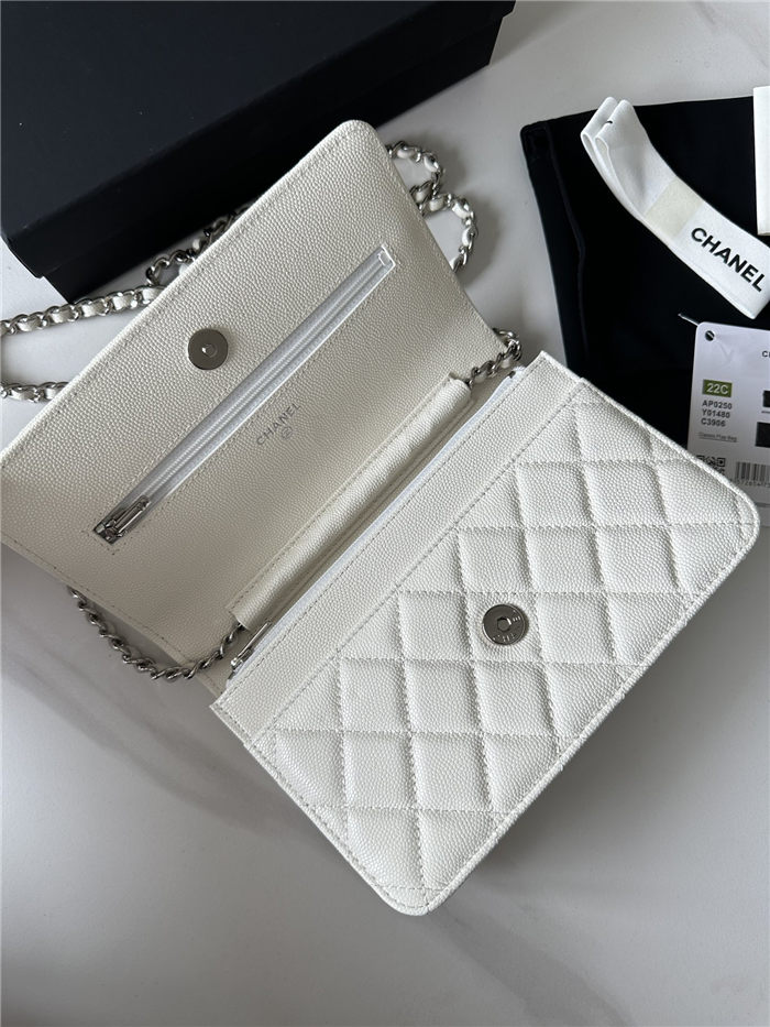 Classic Wallet on Chain AP0250 Grained Calfskin White Silver Metal A