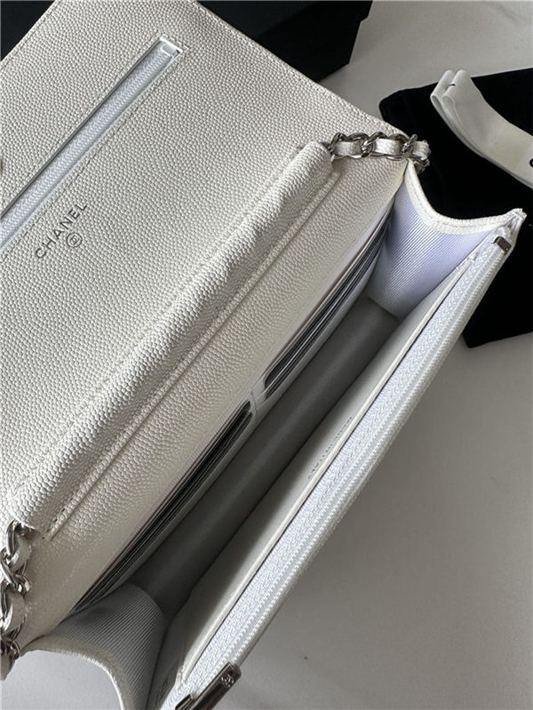 Classic Wallet on Chain AP0250 Grained Calfskin White Silver Metal A