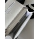 Classic Wallet on Chain AP0250 Grained Calfskin White Silver Metal B