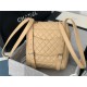 Chanel Small Backpack Lambskin 91120 Silver-Metal Nude High