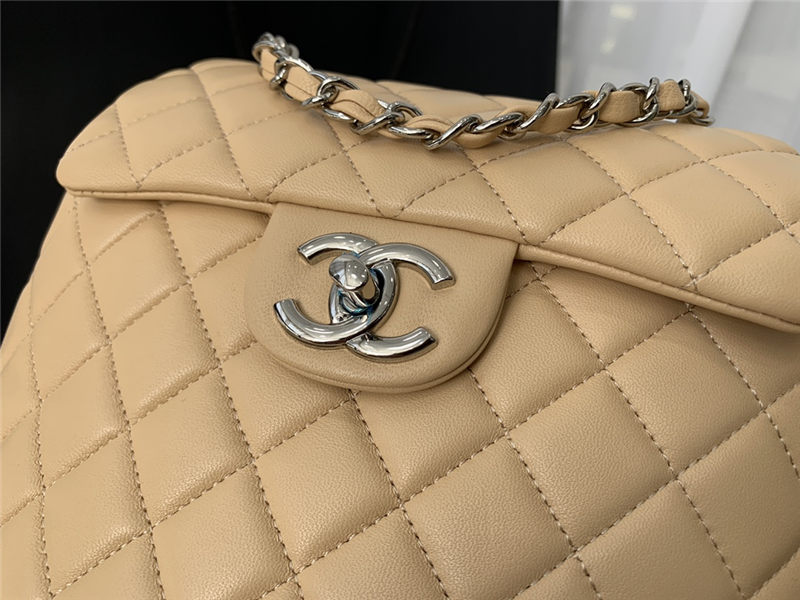 Chanel Small Backpack Lambskin 91120 Silver-Metal Nude High