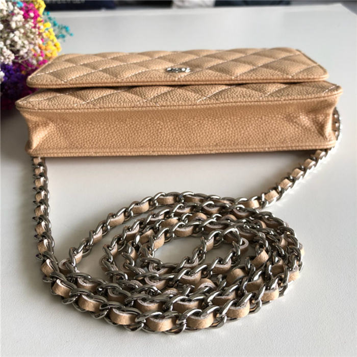 Chanel Wallet on Chain Grained Calfskin Beige Silver Metal B