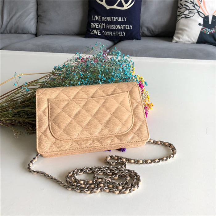 Chanel Wallet on Chain Grained Calfskin Beige Silver Metal B