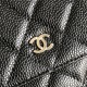 Chanel Wallet on Chain Grained Calfskin Black Silver Metal B