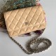 Chanel Wallet on Chain Lambskin Beige Silver Metal B