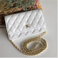 Classic Wallet on Chain A33814 Lambskin White Gold Metal B