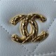 Chanel WALLET ON CHAIN Shiny Lambskin & Gold-Tone Metal White A