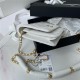 Chanel WALLET ON CHAIN Shiny Lambskin & Gold-Tone Metal White A