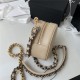 Chanel 19 CLUTCH WITH CHAIN Lambskin Gold/Silver-Tone & Ruthenium-Finish Metal Nude A