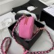 Chanel 19 CLUTCH WITH CHAIN Pink A