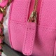 Chanel 19 CLUTCH WITH CHAIN Pink A