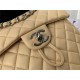 Chanel Medium Backpack Lambskin 91121 Silver-Metal Nude High