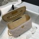 Chanel Vanity with Chain Lambskin Gold Metal Grey-Nude High