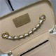 Chanel Vanity with Chain Lambskin Gold Metal White High