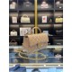 MINI FLAP BAG WITH TOP HANDLE AS2431 Lambskin & Gold-Tone Metal High