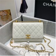 Chanel WALLET ON CHAIN Calfskin & Gold-Tone Metal AP2289 White High