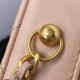 MINI CAMERA CASE Lambskin Gold-Tone Metal Pink AS2463 A