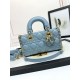 LADY D-JOY BAG SMALL Cannage Lambskin Resin High