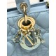 LADY D-JOY BAG SMALL Cannage Lambskin Resin High