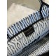 MEDIUM Dior BOOK TOTE Miss Dior Allover Embroidery Blue High