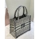 SMALL Dior BOOK TOTE Miss Dior Allover Embroidery Khaki High