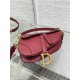 Mini SADDLE BAG Grained Calfskin Wine High