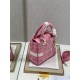 MEDIUM LADY D-LITE BAG Toile de Jouy Reverse Embroidery Pink High