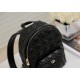 SMALL Dior BACKPACK Cannage Lambskin Black High