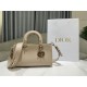 Lady D-Sire Small My ABCDior Bag Bull Leather Beige High