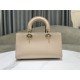 Lady D-Sire Small My ABCDior Bag Bull Leather Beige High