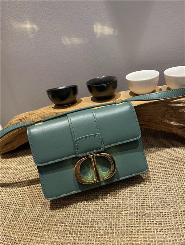 MICRO 30 MONTAIGNE BAG Box Calfskin Green High